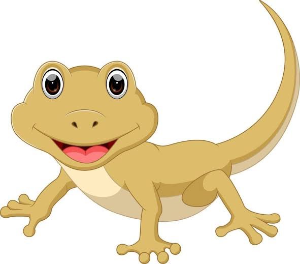 LIZARD