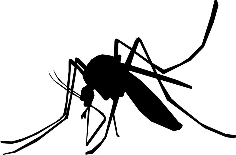 MOSQUITO