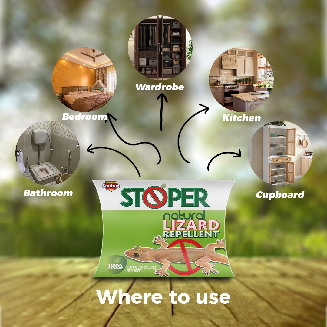 Runbug Stoper Natural Lizard Repellent Box| Non-Toxic | Indoor Use | 100% Organic -20g (Pack of 4) image 2